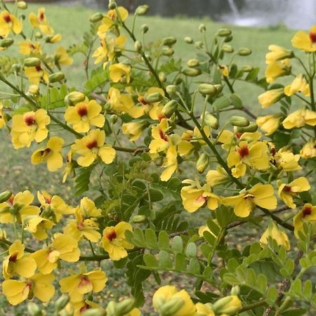 Delirius Hospedagem Itamonte Esterno foto
