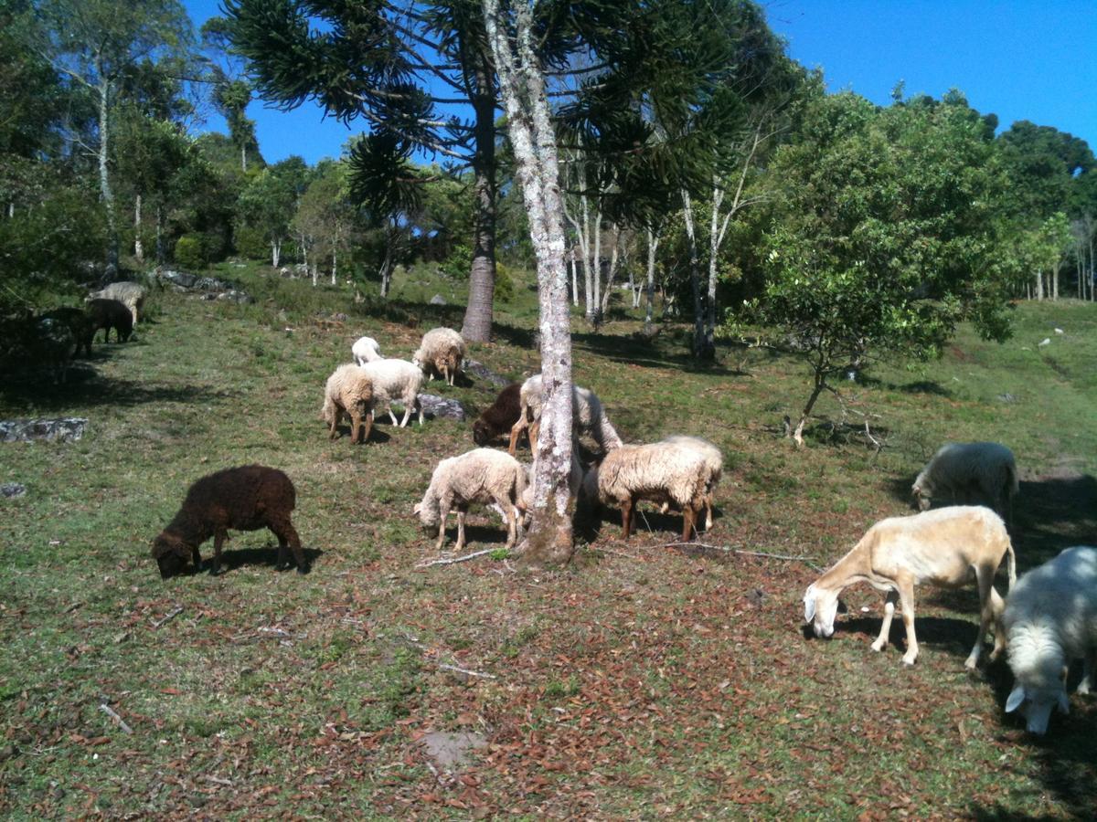 Delirius Hospedagem Itamonte Esterno foto